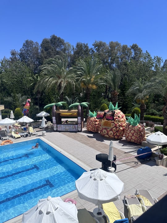 Pool Sidemarin Kirman Premium