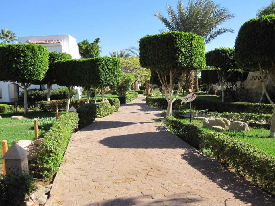 Überall gepflegte Gartenanlage Lotus Bay Beach Resort