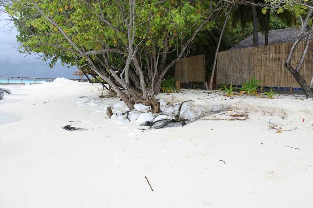 Strandabschnitt bei der Main-Bar NH Collection Maldives Reethi Resort