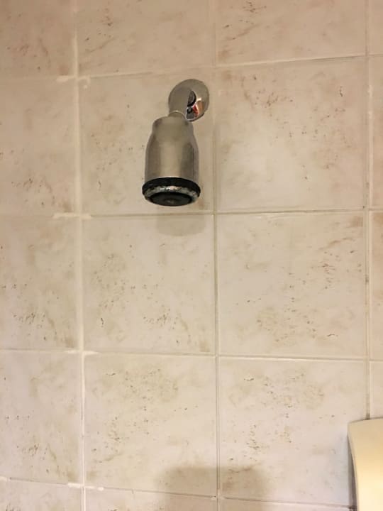 Zimmer Malikia Resort Abu Dabbab