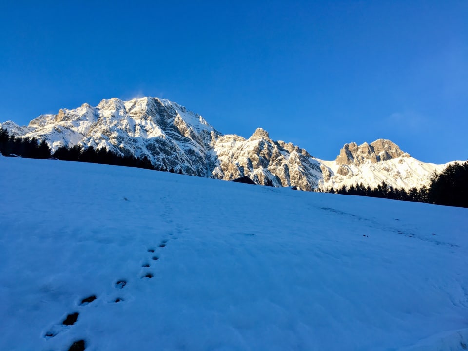 Ausblick PRIESTEREGG Premium ECO Resort