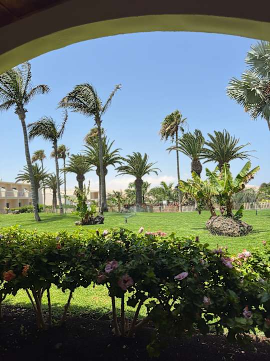 Gartenanlage Club Hotel Drago Park