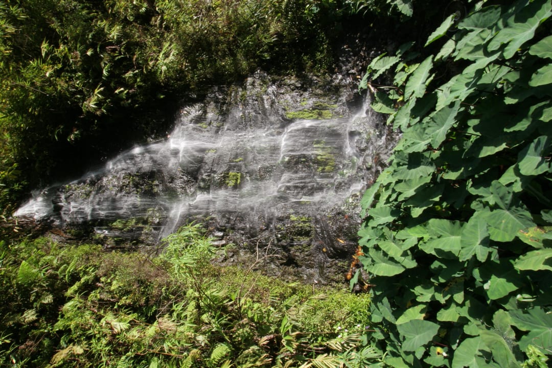 Cascade Le Relais des Cimes