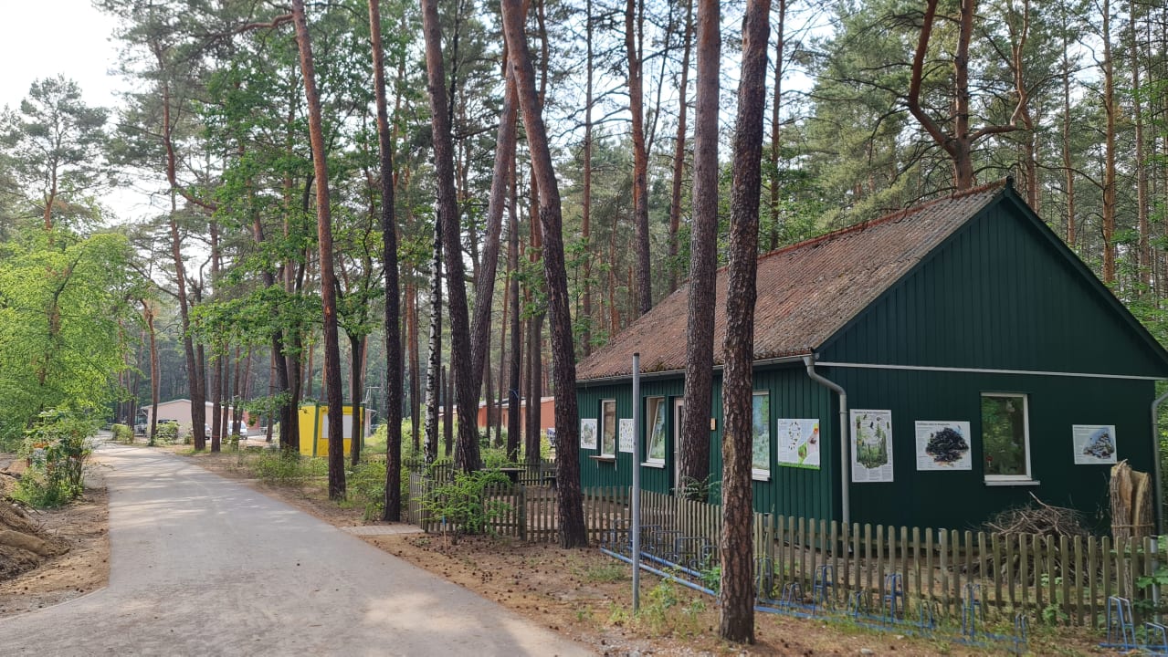 Gartenanlage Familienpark Senftenberger See