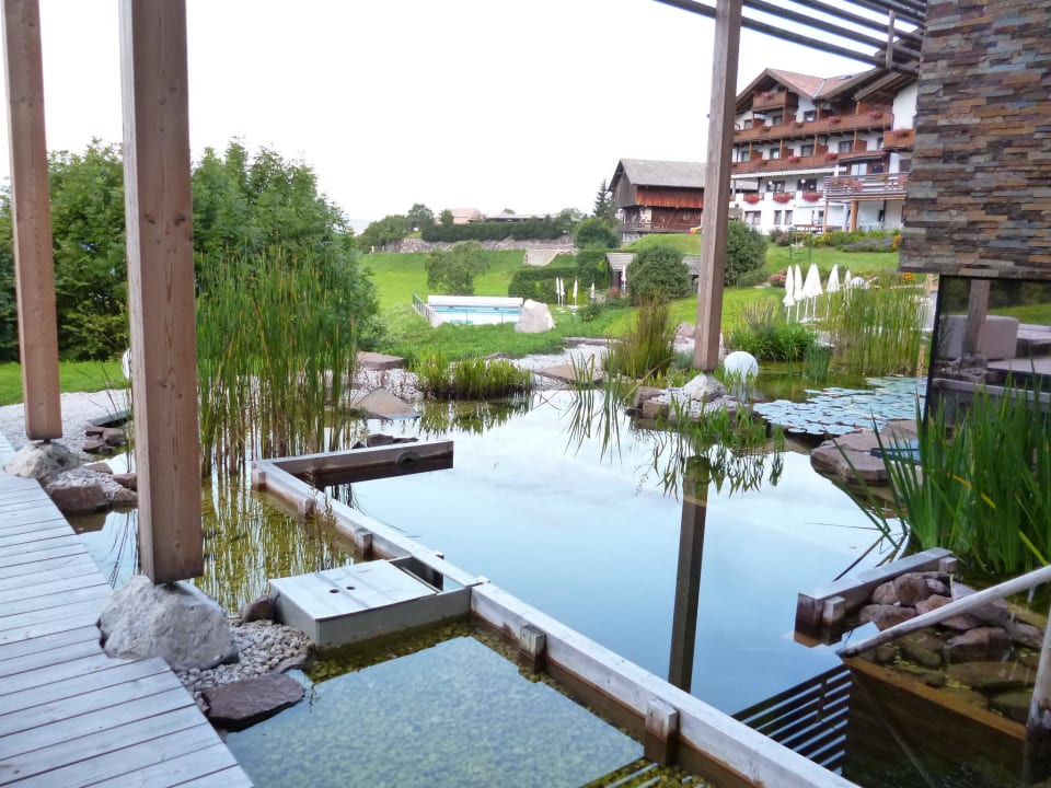 Seerosenteich im Wellnessbereich Valentinerhof vita vital hotel