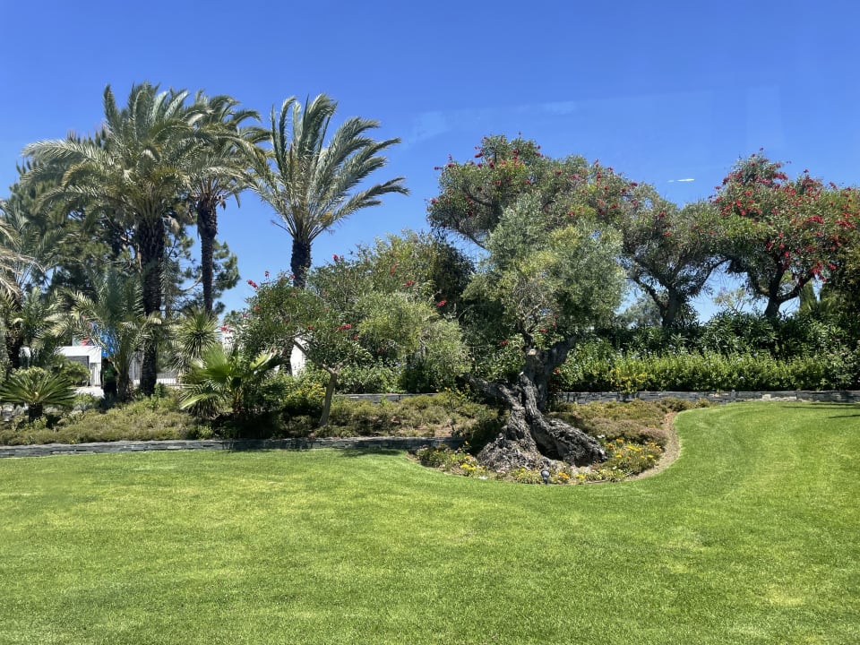 Gartenanlage ROBINSON QUINTA DA RIA