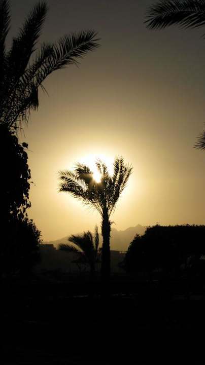 Sunset Grand Oasis Resort