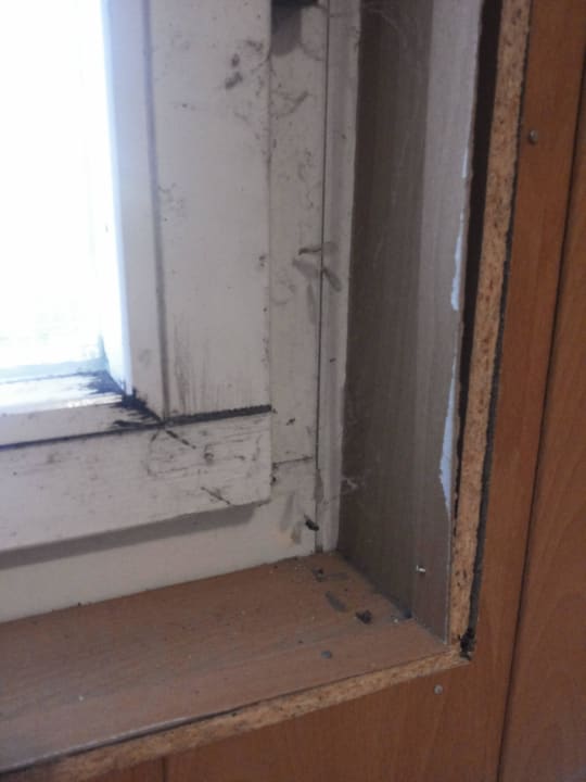 Fenster Eltern Ferienanlage Reiterhof Pilger