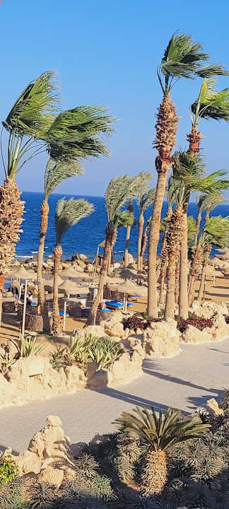 Strand Pickalbatros Citadel Resort