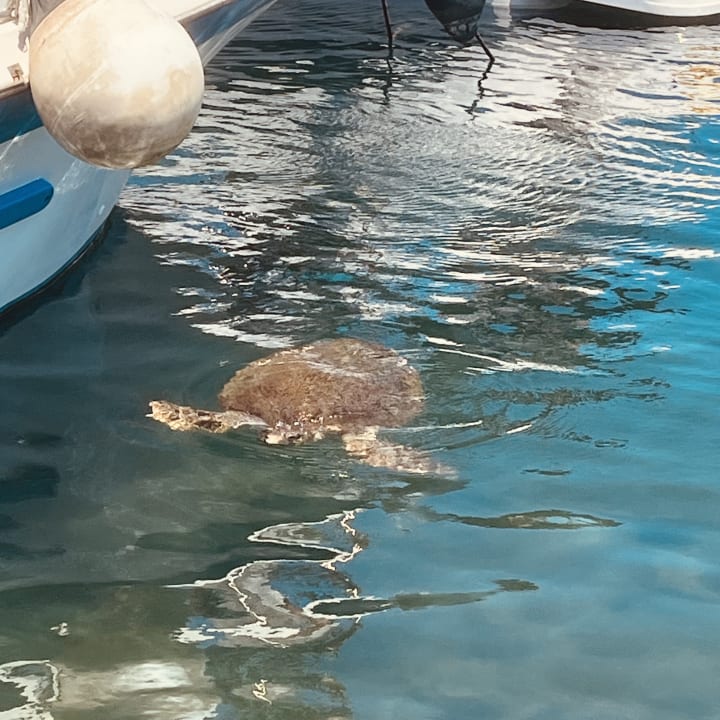 Strand Anemos Luxury Grand Resort