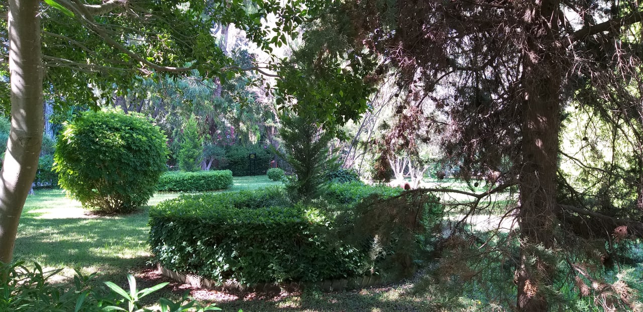 Gartenanlage Dionysos Hotel