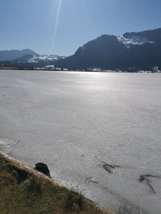 Ausblick Hotel Bellevue am See