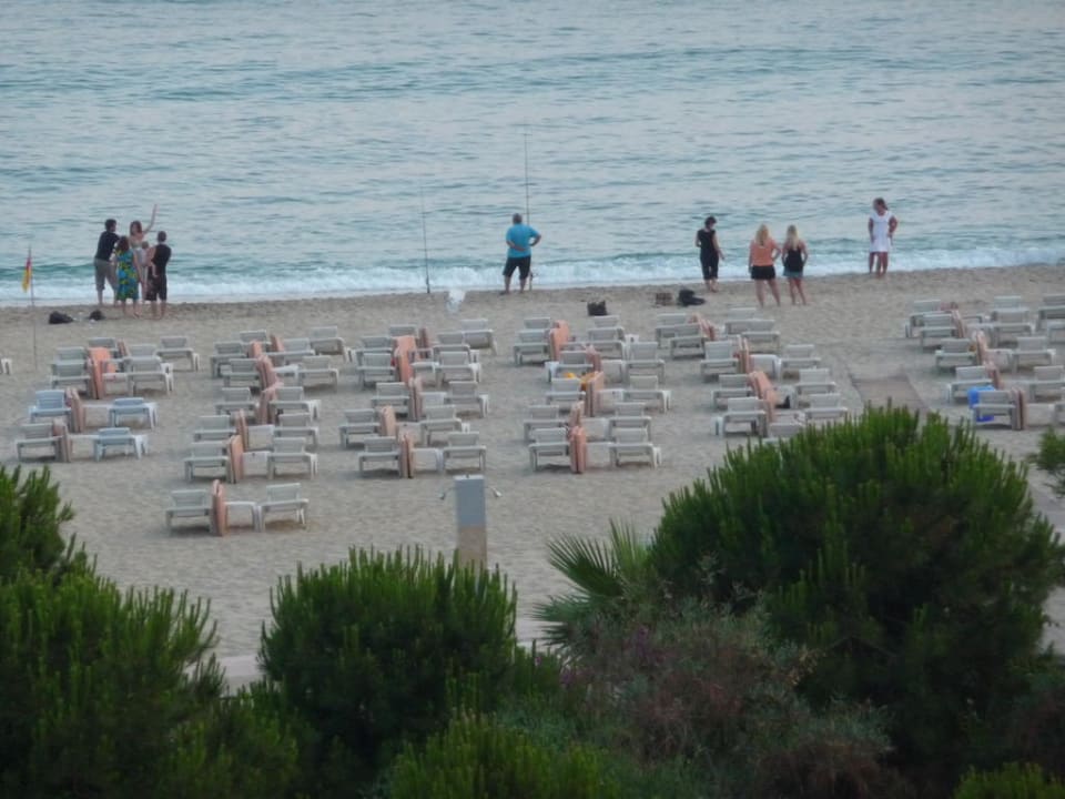 Ausblick vom Restaurant Gardenia Hotel