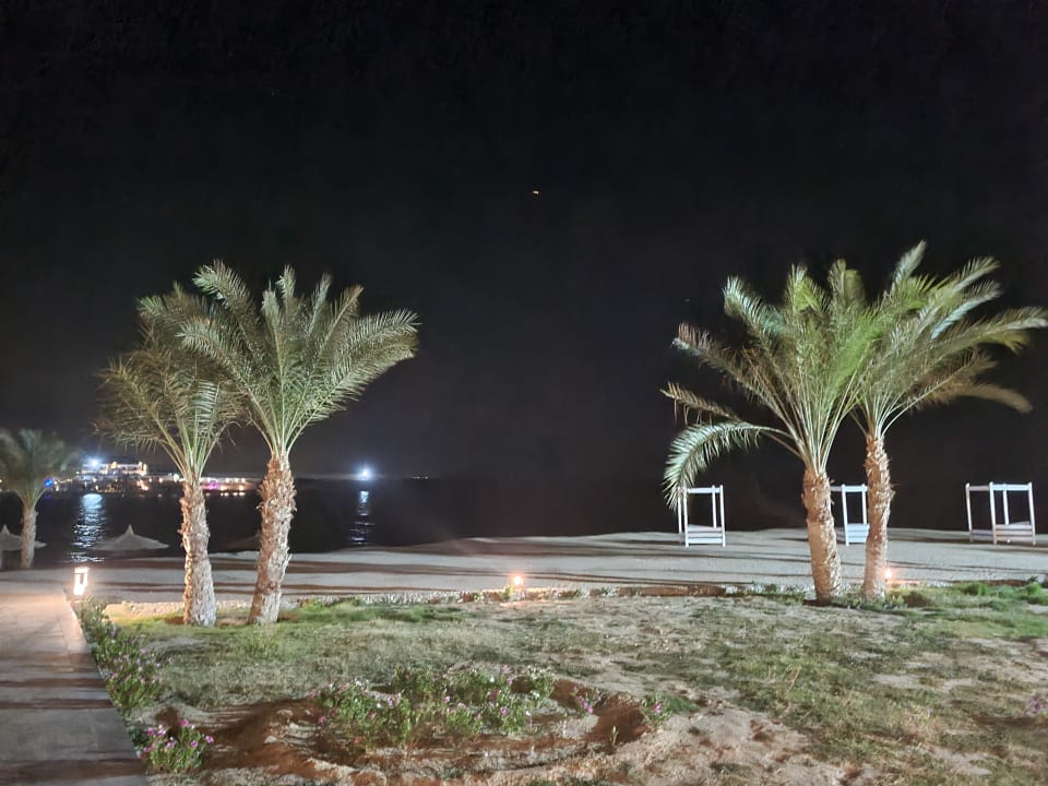 Gartenanlage Coral Sun Beach