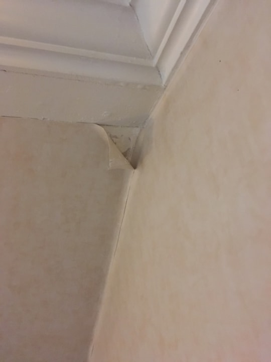 Zimmer Bergström Hotel Lüneburg