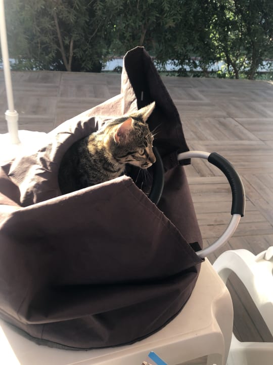 Sonstiges Aydinbey Kings Palace & Spa