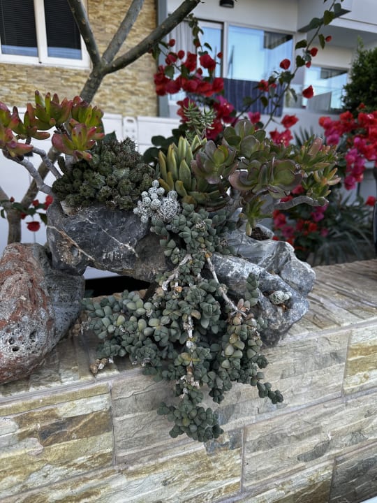 Gartenanlage Hotel Kathrin Beach