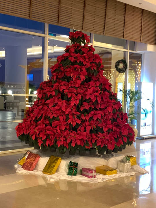 Lobby Cleopatra Luxury Beach Resort Makadi Bay - Adults only