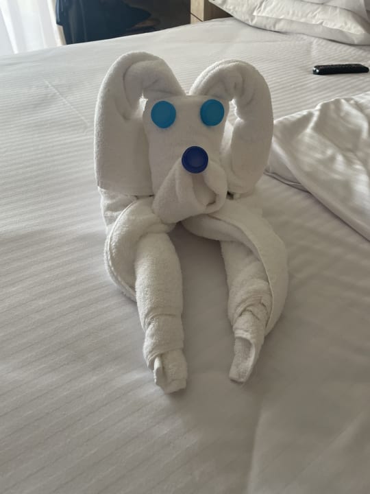 Zimmer Steigenberger Resort Ras Soma