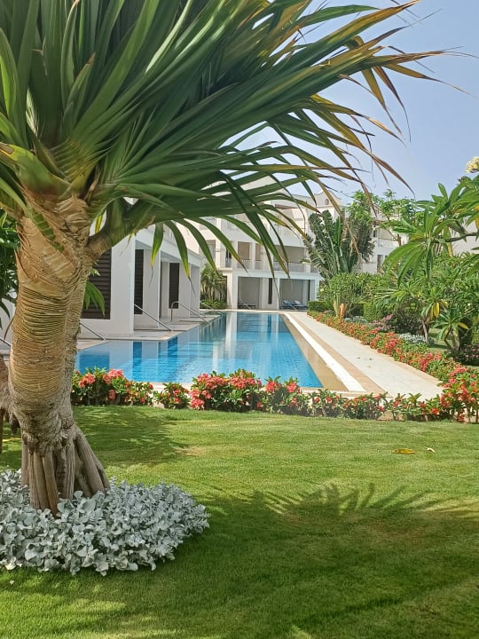 Pool Steigenberger Resort Alaya Marsa Alam - Red Sea - Adults only
