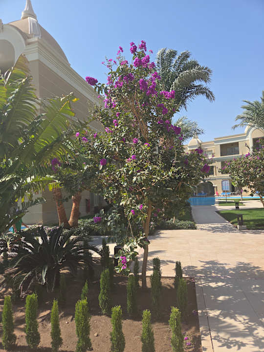 Gartenanlage Titanic Royal