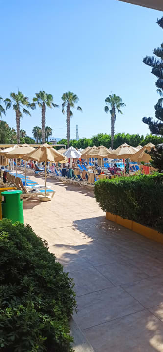 Pool Hane Family Resort