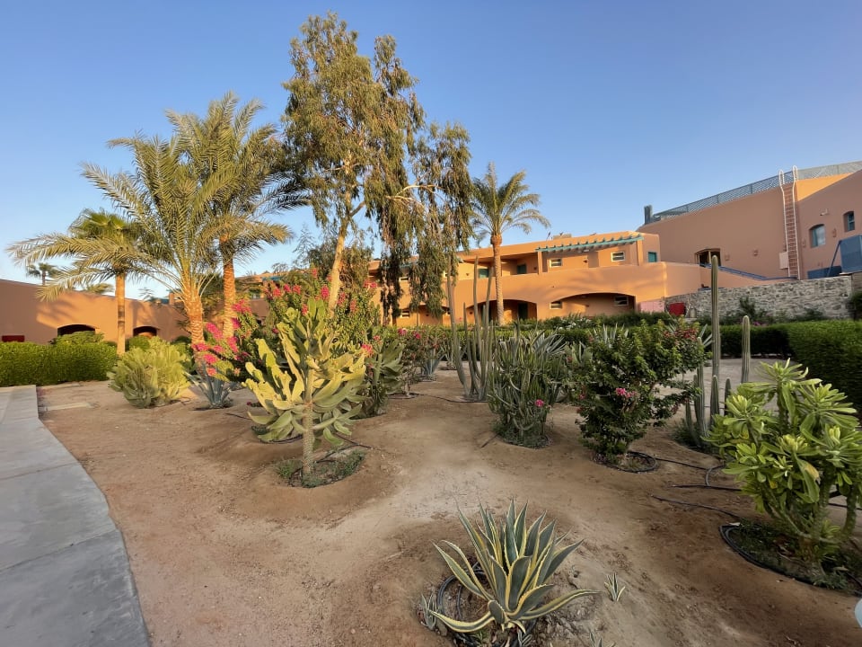 Gartenanlage Club Paradisio El Gouna, Red Sea