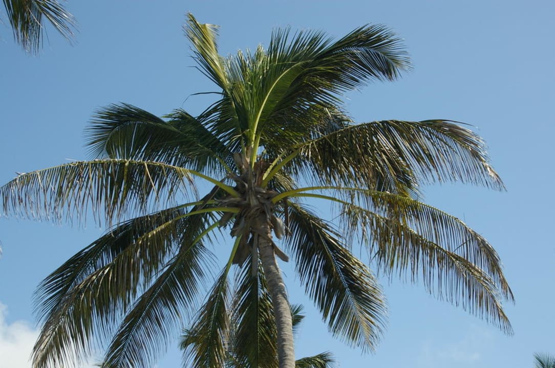 Hotel Bahari Beach Club Bahari Beach Hotel