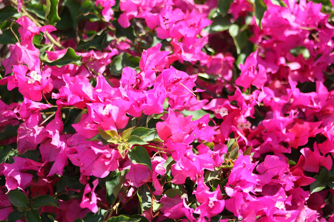 Красота! Regency Plaza Aqua Park & Spa