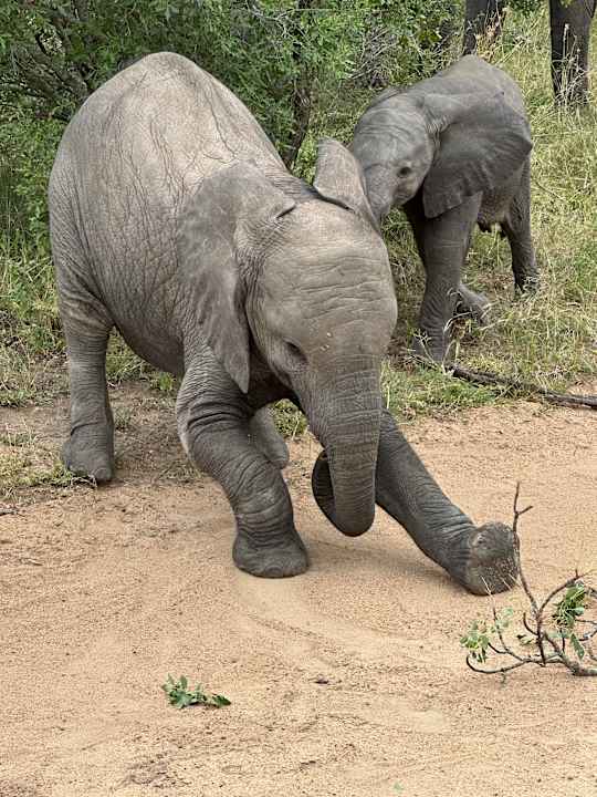 Sport & Freizeit Sabi Sabi Bush Lodge