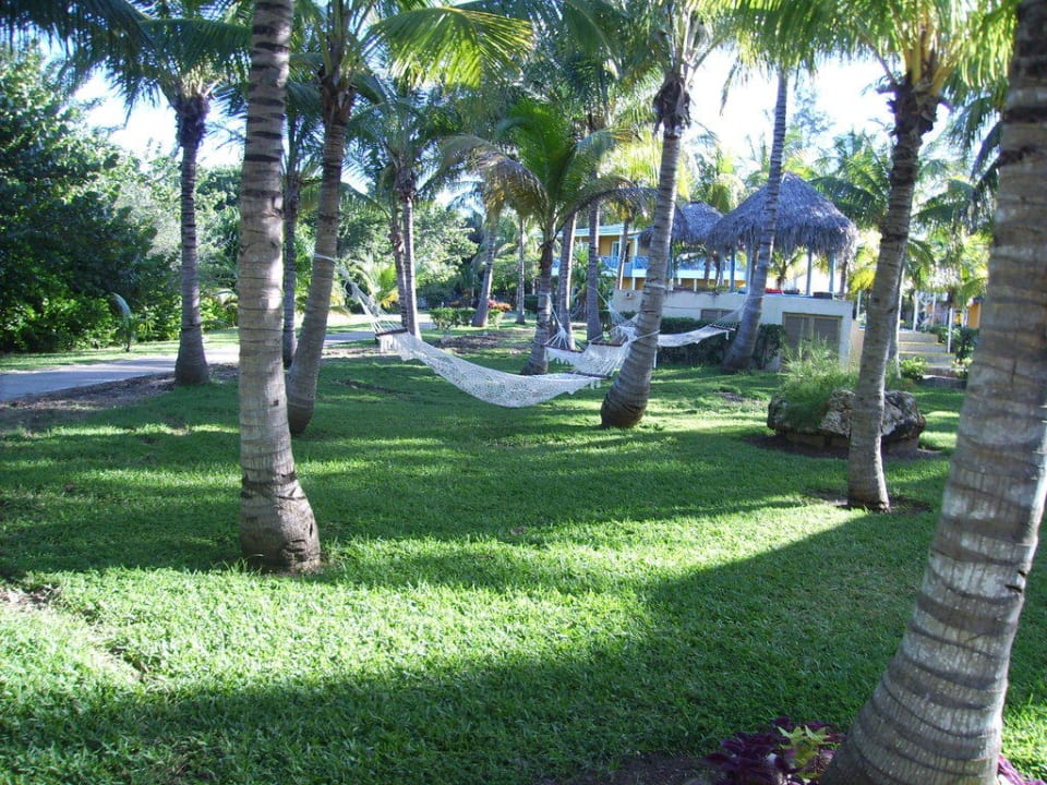 Hängematte Melia Las Antillas - Adults only