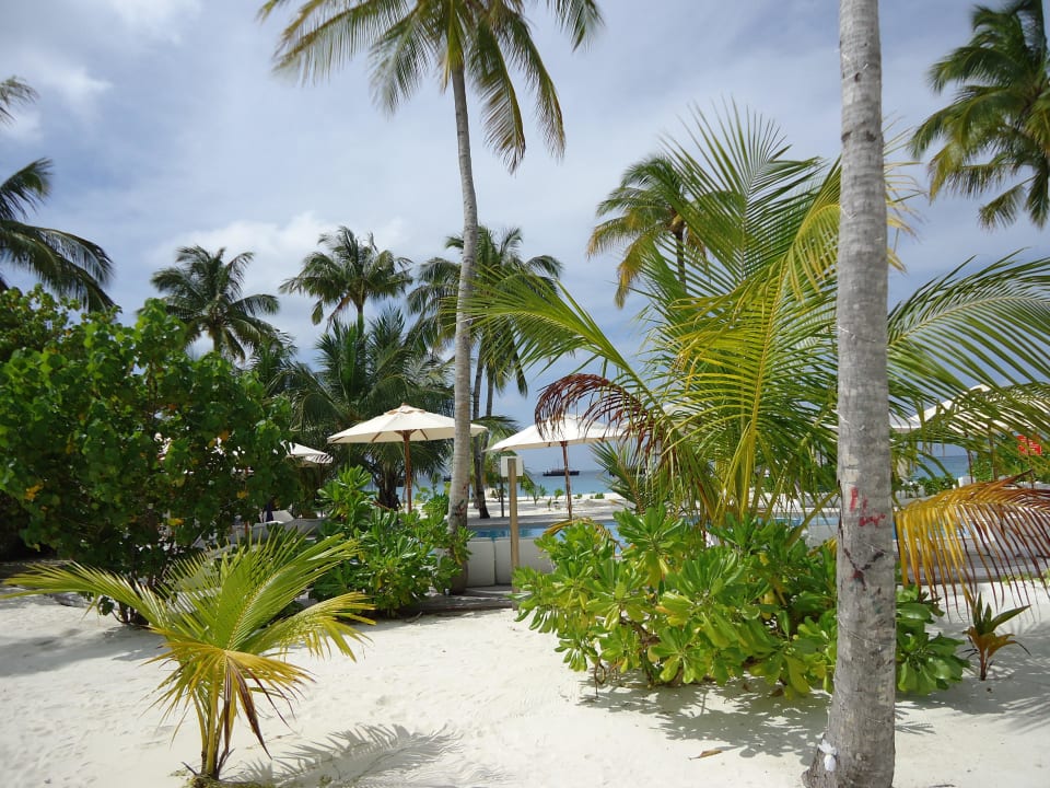 Blick auf Pool Safari Island Maldives