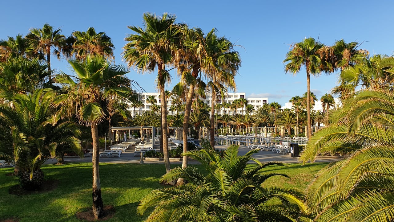 Gartenanlage Hotel Riu Gran Canaria