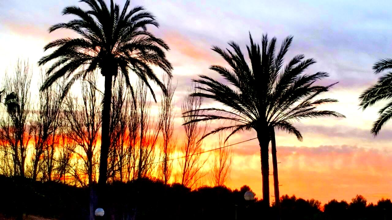 Sonnenuntergang vor dem Hotel Hotel Serrano Palace