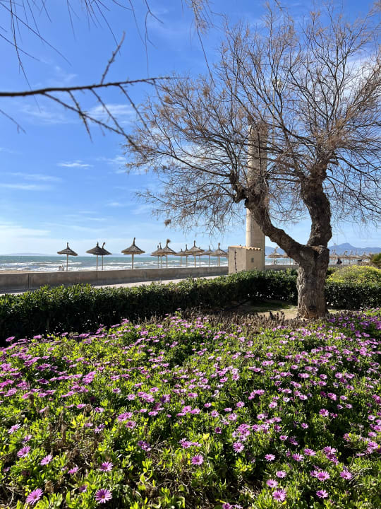 Strand Aparthotel Fontanellas Playa