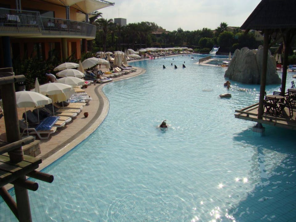 Joy pegasos world AQI Pegasos World