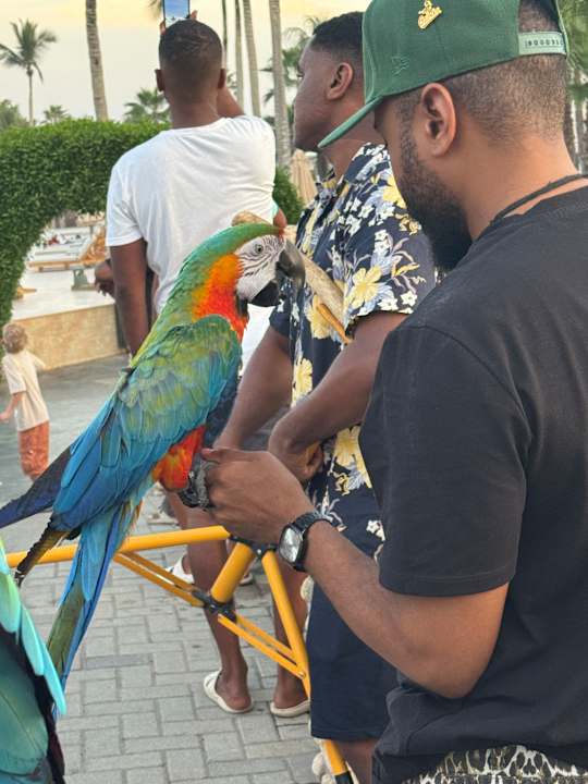 Sonstiges Salalah Rotana Resort