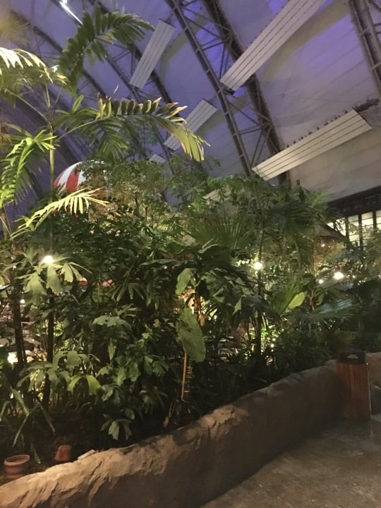 Gartenanlage Tropical Islands Resort