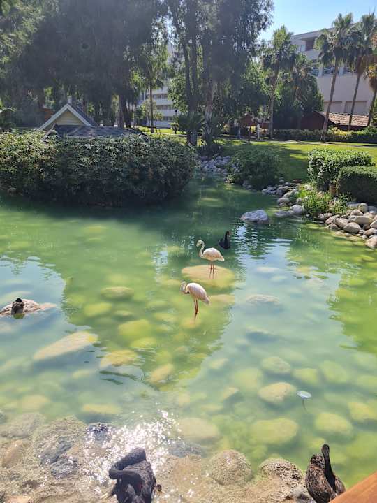 Außenansicht Rixos Premium Tekirova