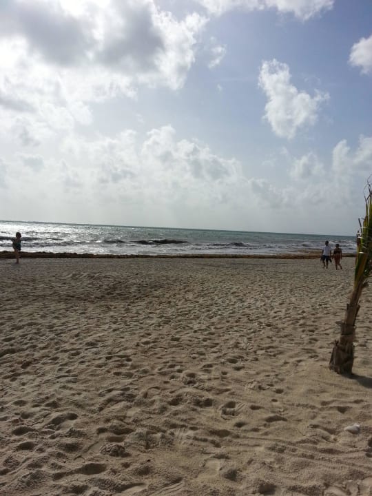 Hotel Catalonia Playa Maroma Catalonia Playa Maroma