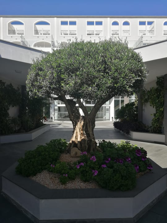 Außenansicht Royal Palm Resort & Spa - Adults only