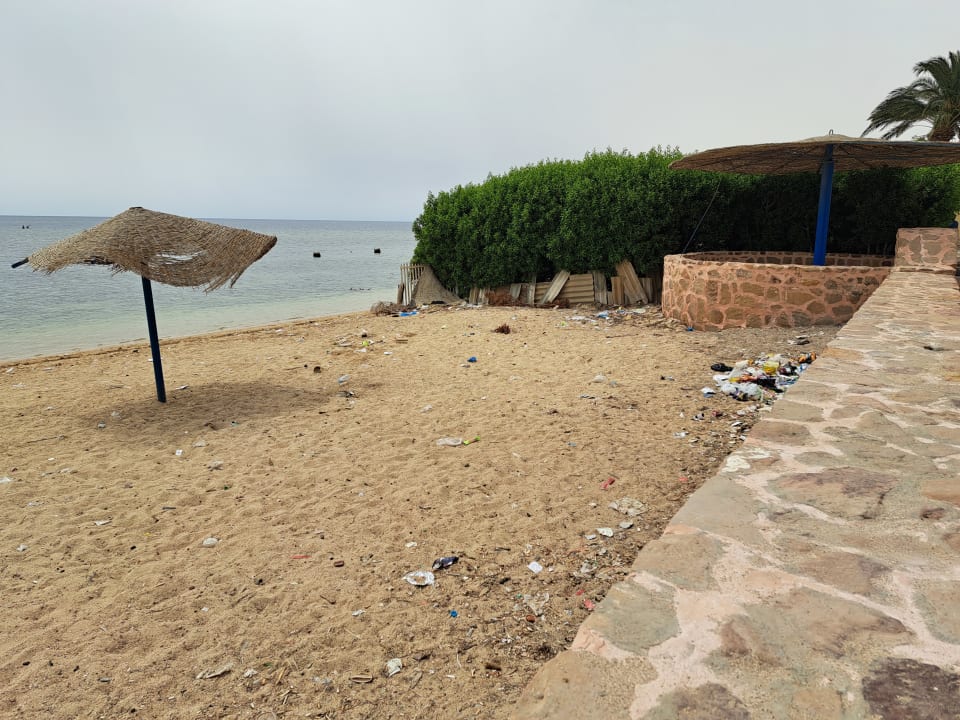 Strand Pickalbatros Sea World Resort - Marsa Alam