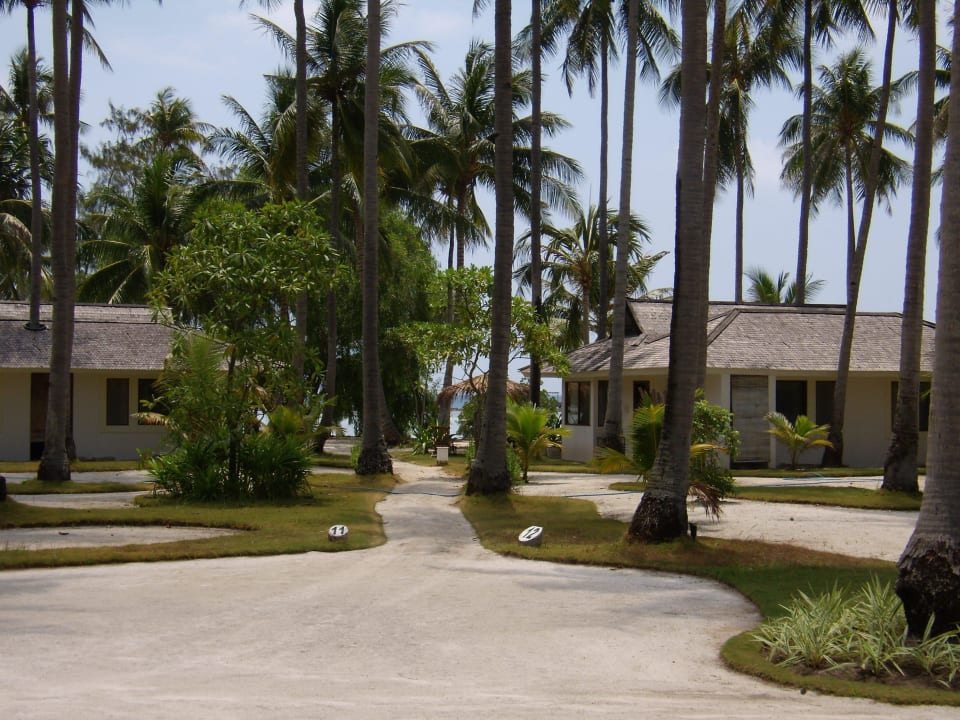 Weg/Blick zu den Cottages Kura Kura Resort