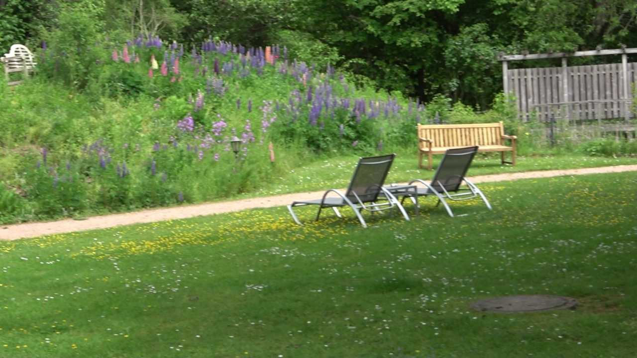 Außenansicht Hotel Grüner Wald