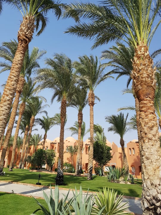 Gartenanlage Jaz Makadi Oasis Resort