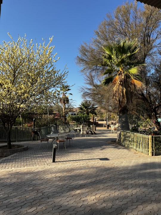 Gartenanlage Hammerstein Lodge & Camp