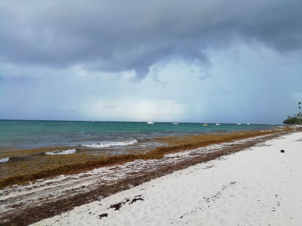 Strand Grand Palladium Punta Cana Resort & Spa