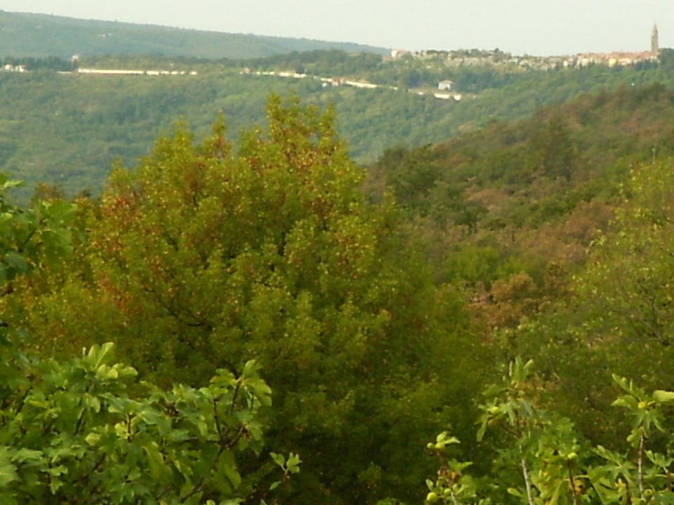 Ausblick vom Zimmer Calussovo Villa