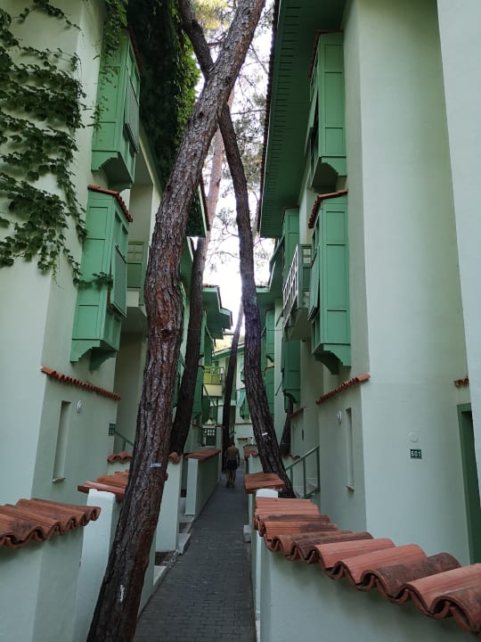 Zimmer Ulusoy Kemer Holiday Club