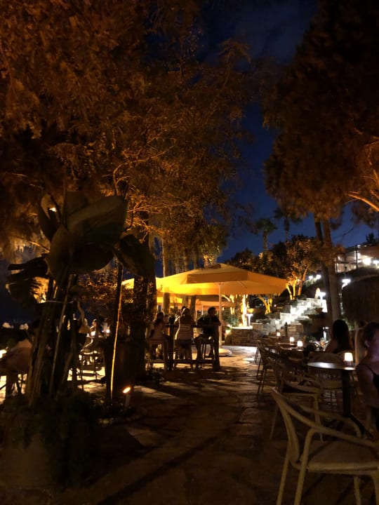 Sonstiges Arum Barut Collection